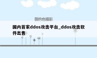 国内首家ddos攻击平台_ddos攻击软件出售