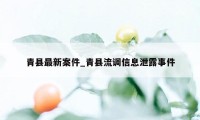 青县最新案件_青县流调信息泄露事件
