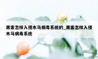 黑客怎样入侵木马病毒系统的_黑客怎样入侵木马病毒系统