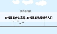 白帽黑客什么意思_白帽黑客教程新手入门