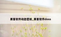 黑客软件动态壁纸_黑客软件doss