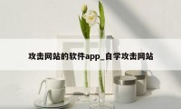 攻击网站的软件app_自学攻击网站