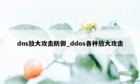 dns放大攻击防御_ddos各种放大攻击