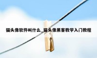 猫头像软件叫什么_猫头像黑客教学入门教程