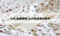 kali 渗透测试_kali渗透测试软件