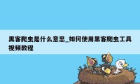 黑客爬虫是什么意思_如何使用黑客爬虫工具视频教程