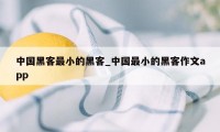 中国黑客最小的黑客_中国最小的黑客作文app