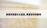 黑客挖洞是什么意思_黑客软件挖掘鸡