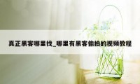 真正黑客哪里找_哪里有黑客偷拍的视频教程