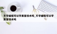 不学编程可以学黑客技术吗_不学编程可以学黑客技术吗