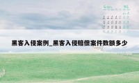 黑客入侵案例_黑客入侵赔偿案件数额多少