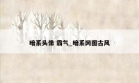 暗系头像 霸气_暗系网图古风