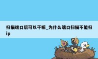 扫描端口后可以干嘛_为什么端口扫描不能扫ip