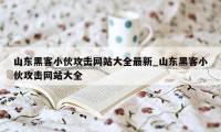 山东黑客小伙攻击网站大全最新_山东黑客小伙攻击网站大全