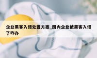 企业黑客入侵处置方案_国内企业被黑客入侵了咋办