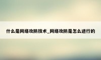 什么是网络攻防技术_网络攻防是怎么进行的